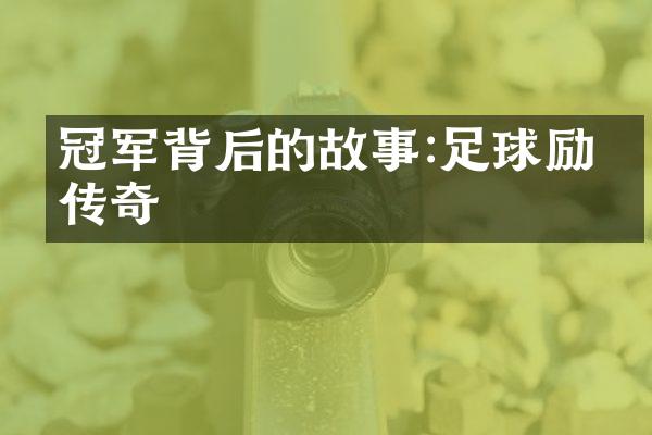 冠军背后的故事:足球励志传奇