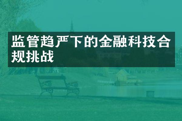 监管趋严下的金融科技合规挑战