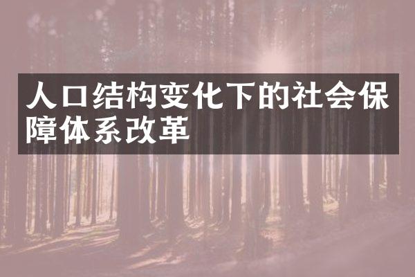 人口结构变化下的社会保障体系改革