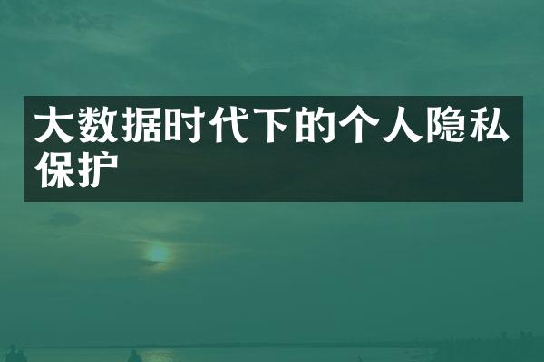 大数据时代下的个人隐私保护