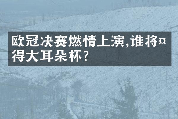 欧冠决赛燃情上演,谁将夺得大耳朵杯?