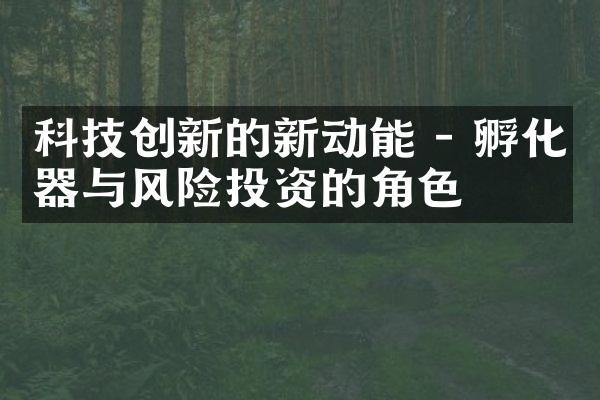 科技创新的新动能 - 孵化器与风险投资的角色