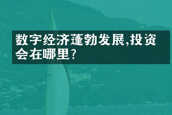 数字经济蓬勃发展,投资机会在哪里?