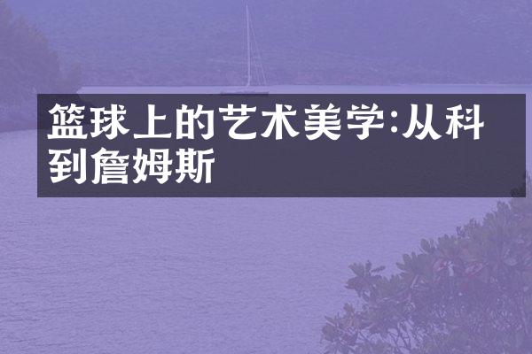 篮球上的艺术美学:从科比到詹姆斯