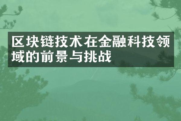 区块链技术在金融科技领域的前景与挑战