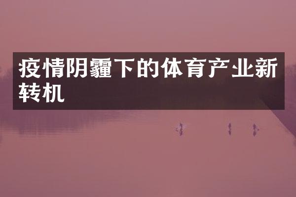 疫情阴霾下的体育产业新转机