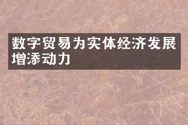 数字贸易为实体经济发展增添动力