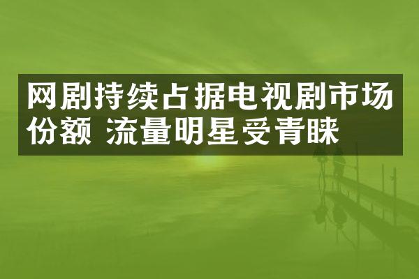 网剧持续占据电视剧市场份额 流量明星受青睐