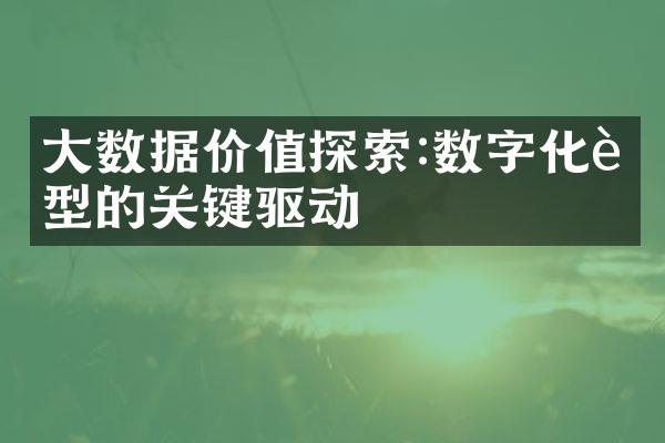 数据价值探索:数字化转型的关键驱动