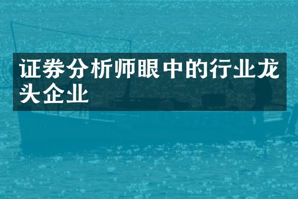 证券分析师眼中的行业龙头企业