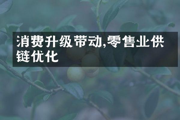 消费升级带动,零售业供应链优化