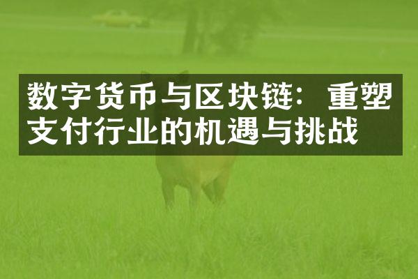 数字货币与区块链：重塑支付行业的机遇与挑战