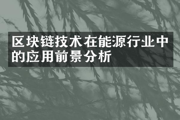 区块链技术在能源行业中的应用前景分析