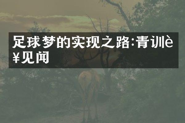 足球梦的实现之路:青训营见闻