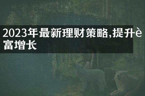 2023年最新理财策略,提升财富增长