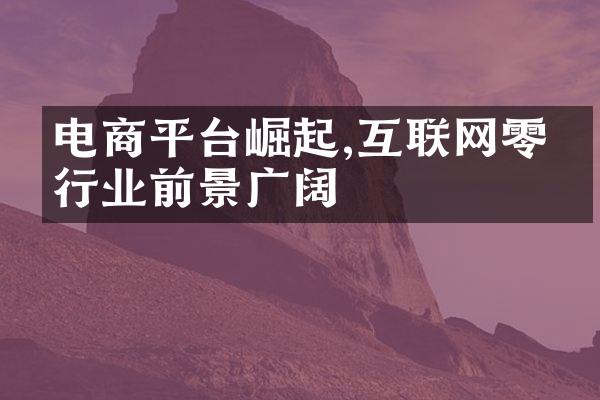 电商平台崛起,互联网零售行业前景广阔