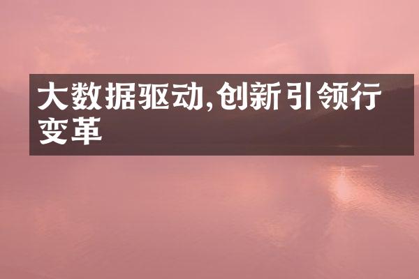 大数据驱动,创新引领行业变革