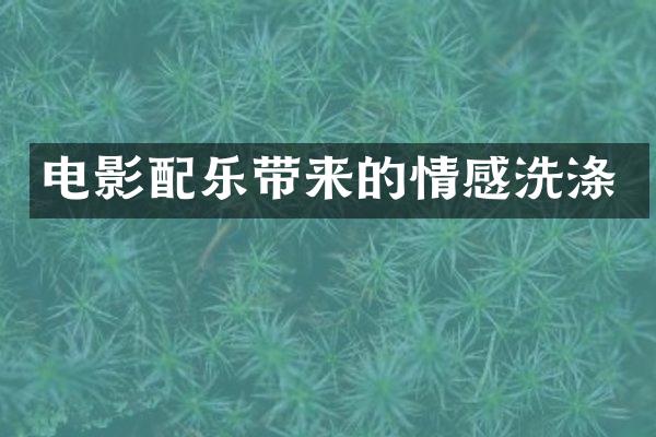 电影配乐带来的情感洗涤