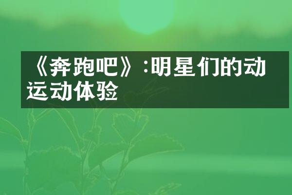 《奔跑吧》:明星们的动感运动体验