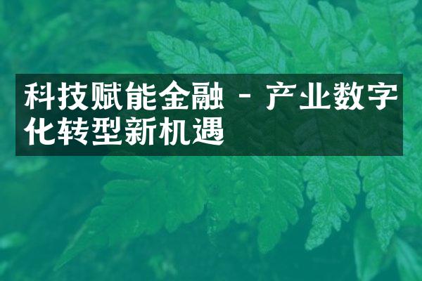 科技赋能金融 - 产业数字化转型新机遇