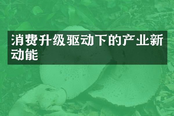 消费升级驱动下的产业新动能