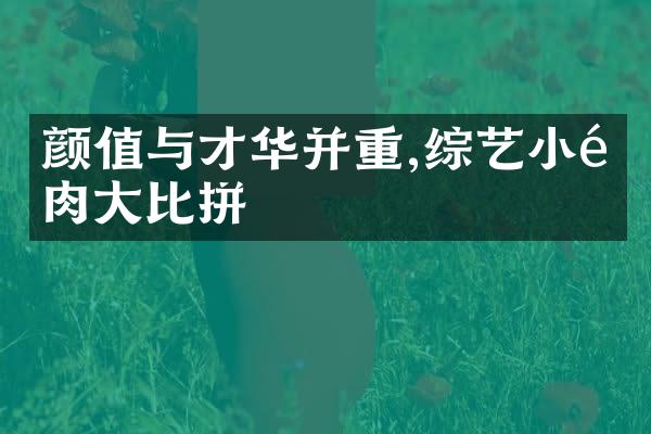 颜值与才华并重,综艺小鲜肉大比拼