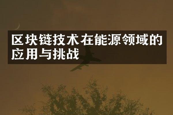 区块链技术在能源领域的应用与挑战