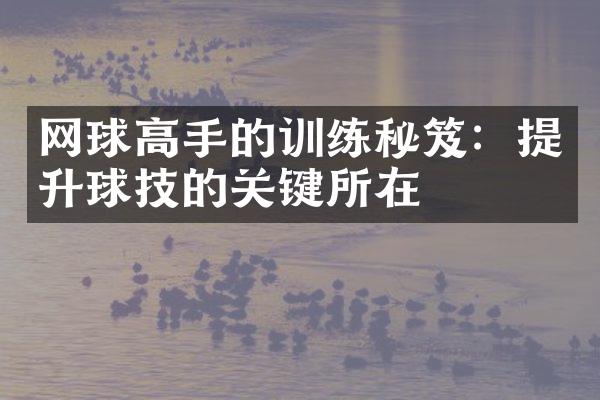 网球高手的训练秘笈：提升球技的关键所在