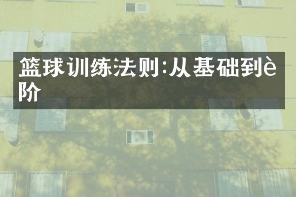 篮球训练法则:从基础到进阶