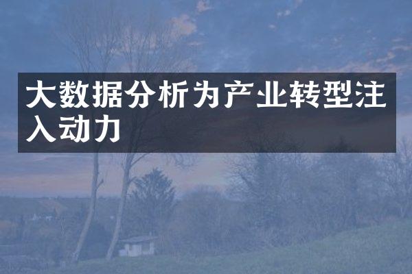 数据分析为产业转型注入动力