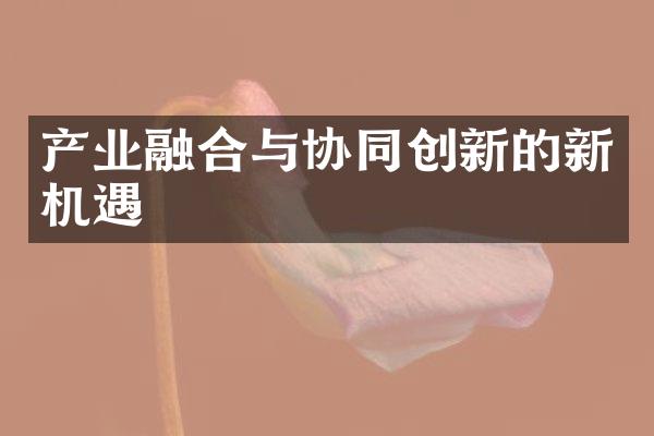 产业融合与协同创新的新机遇