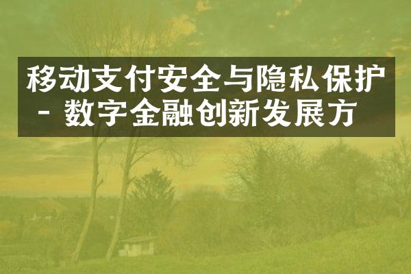 移动支付安全与隐私保护 - 数字金融创新发展方向