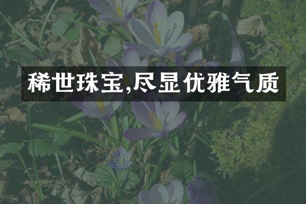 稀世珠宝,尽显优雅气质