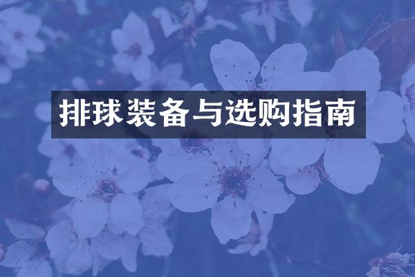 排球装备与选购指南