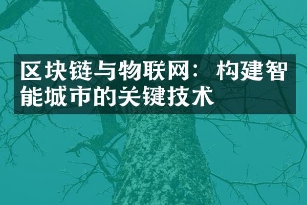 区块链与物联网：构建智能城市的关键技术