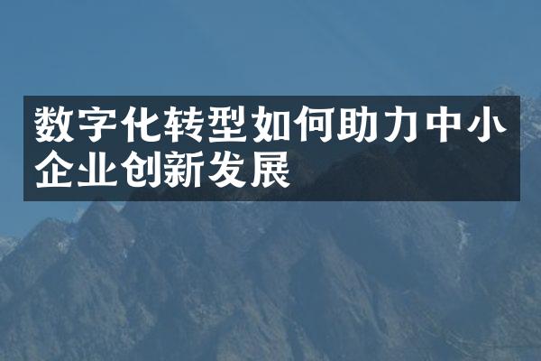 数字化转型如何助力中小企业创新发展