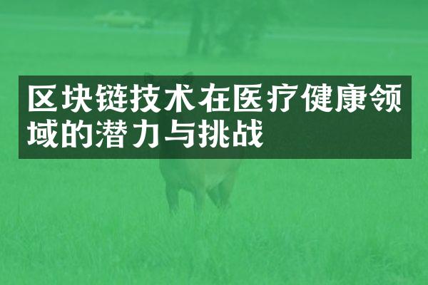 区块链技术在医疗健康领域的潜力与挑战