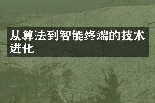 从算法到智能终端的技术进化