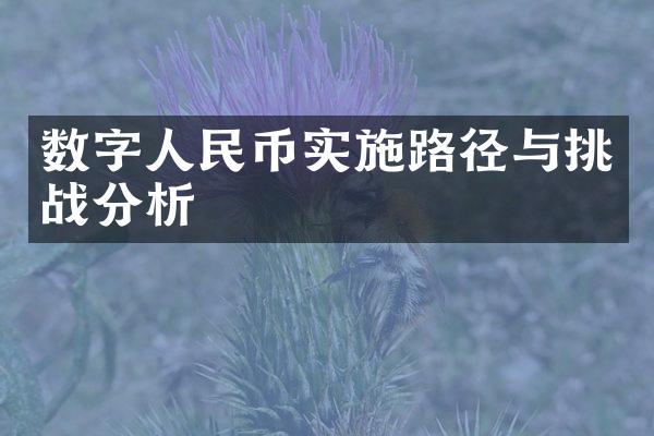 数字人民币实施路径与挑战分析