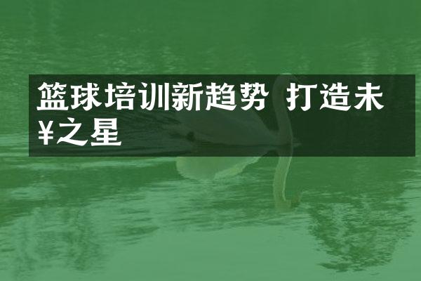 篮球培训新趋势 打造未来之星