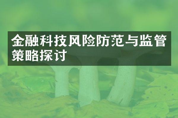 金融科技风险防范与监管策略探讨