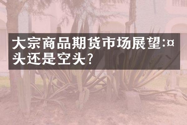 大宗商品期货市场展望:多头还是空头?