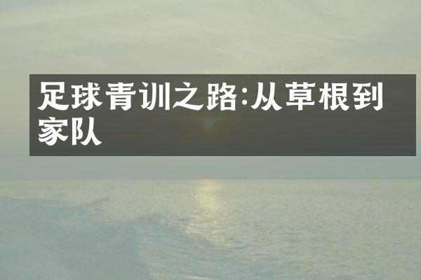 足球青训之路:从草根到队