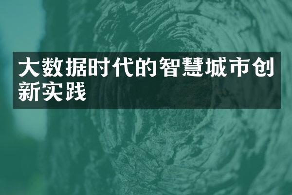 大数据时代的智慧城市创新实践