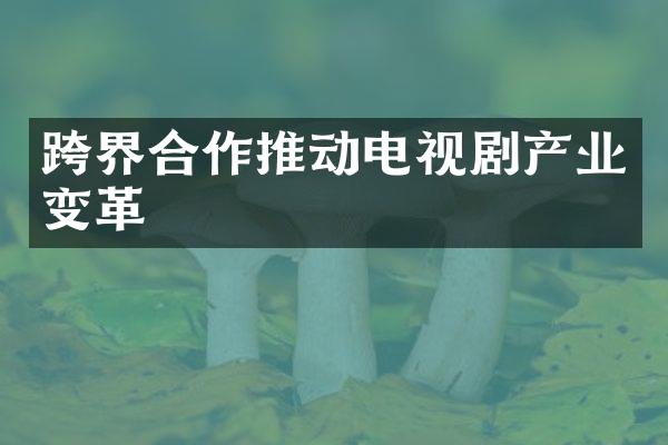 跨界合作推动电视剧产业变革