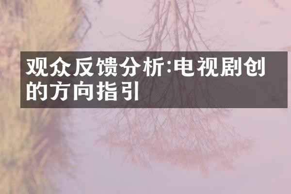 观众反馈分析:电视剧创作的方向指引