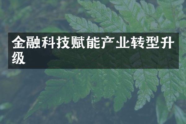 金融科技赋能产业转型升级