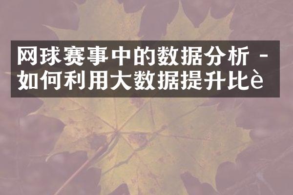 网球赛事中的数据分析 - 如何利用大数据提升比赛