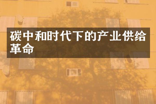 碳中和时代下的产业供给革命