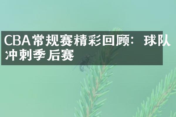 CBA常规赛精彩回顾：球队冲刺季后赛